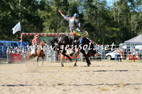 PictonRodeo2015_1594