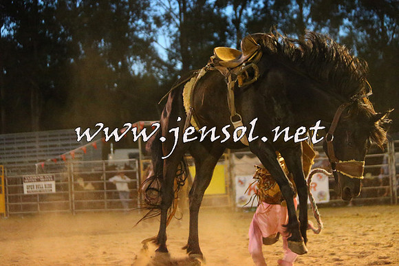 PictonRodeo2015_3070