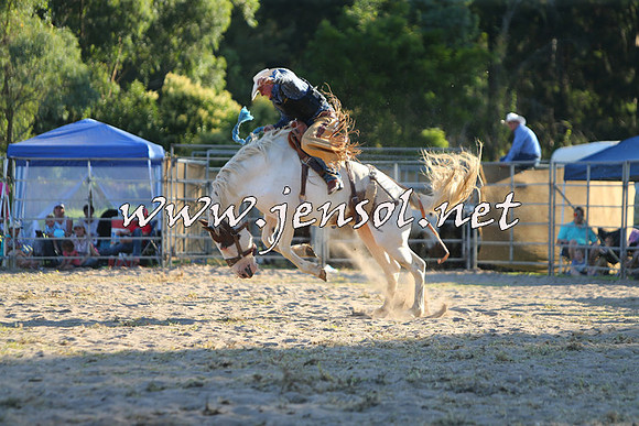 PictonRodeo2015_2187