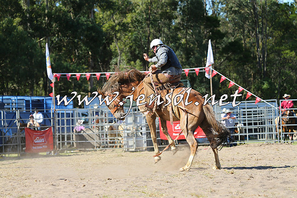 PictonRodeo2015_1650
