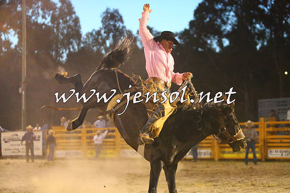 PictonRodeo2015_3062