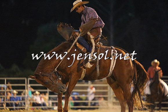 PictonRodeo2015_2960
