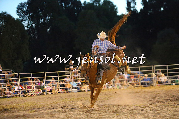 PictonRodeo2015_2998