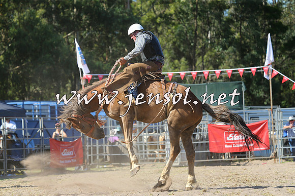 PictonRodeo2015_1661
