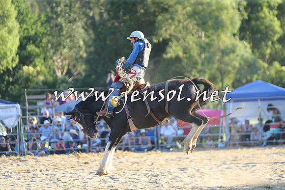 PictonRodeo2015_2251
