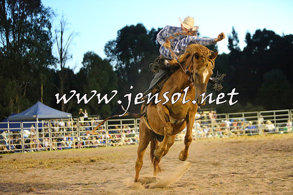 PictonRodeo2015_3003