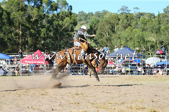 PictonRodeo2015_1812