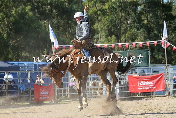 PictonRodeo2015_1665