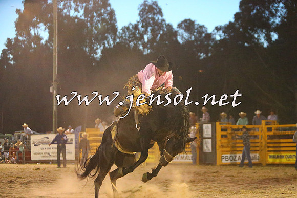 PictonRodeo2015_3047
