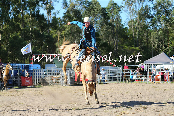 PictonRodeo2015_1703