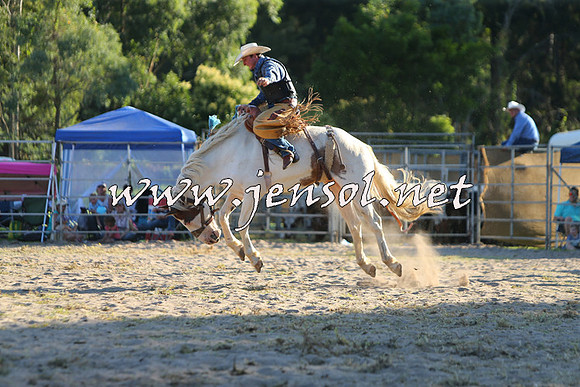 PictonRodeo2015_2186