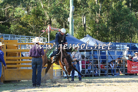 PictonRodeo2015_1845