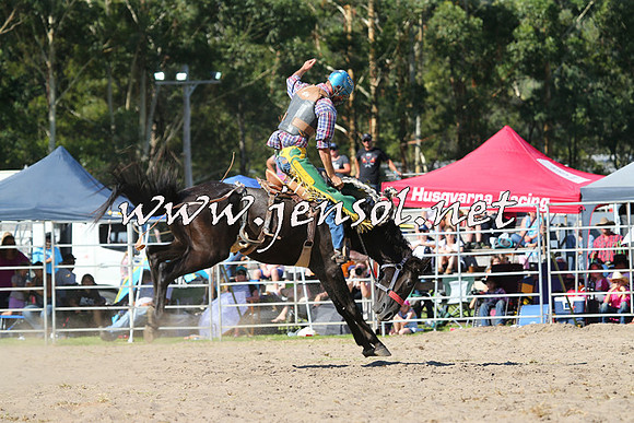 PictonRodeo2015_1604