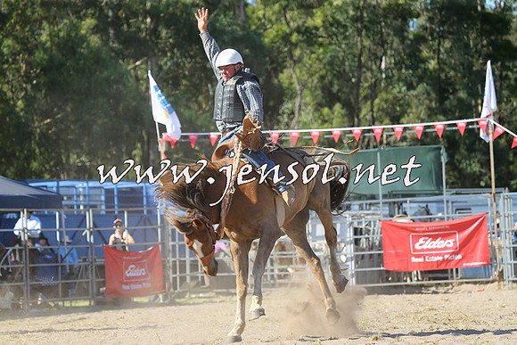PictonRodeo2015_1663