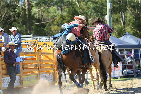 PictonRodeo2015_1710