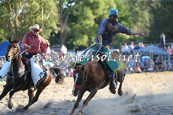 PictonRodeo2015_2202
