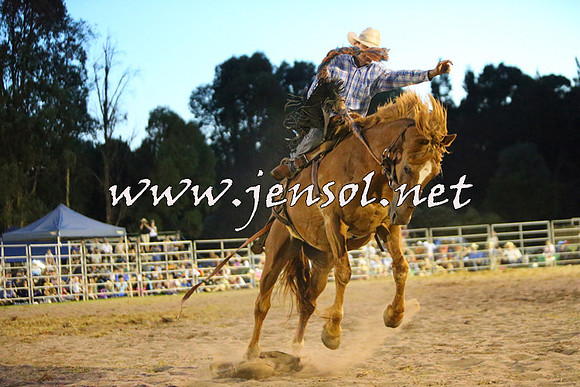 PictonRodeo2015_3002