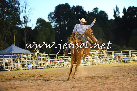 PictonRodeo2015_2990