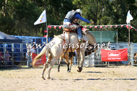 PictonRodeo2015_1574