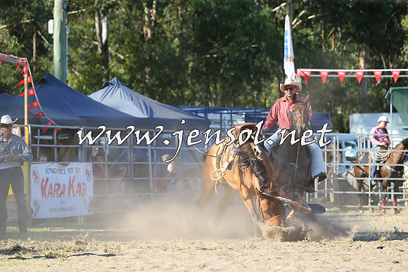 PictonRodeo2015_1883