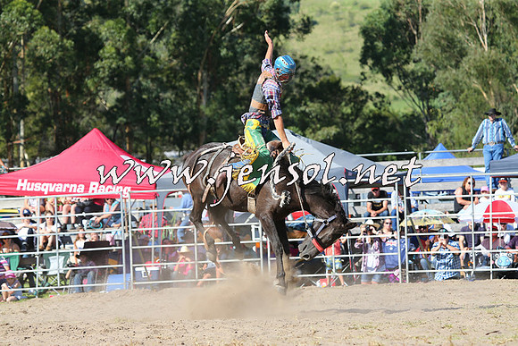 PictonRodeo2015_1619