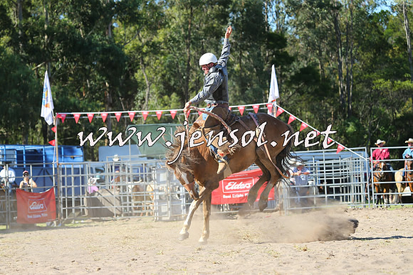 PictonRodeo2015_1667