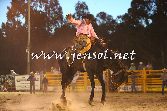 PictonRodeo2015_3045