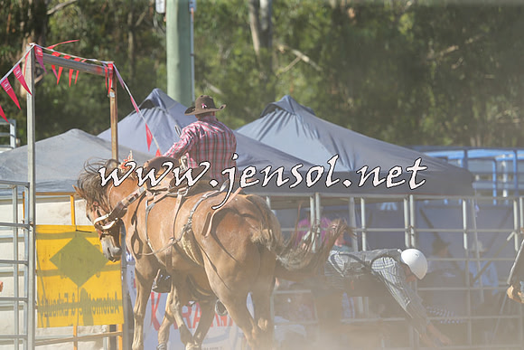 PictonRodeo2015_1678