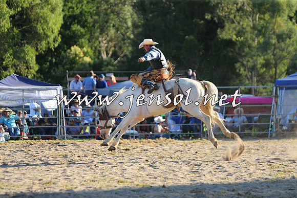PictonRodeo2015_2176