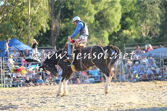 PictonRodeo2015_2243