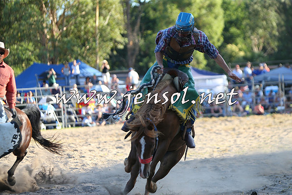 PictonRodeo2015_2204