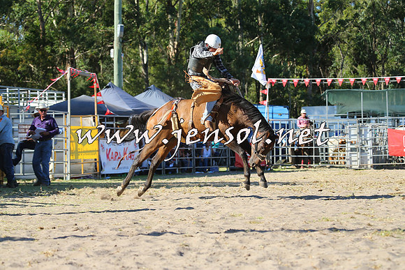 PictonRodeo2015_1804