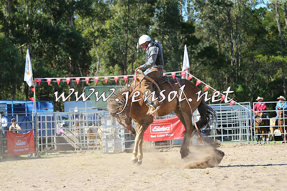 PictonRodeo2015_1666