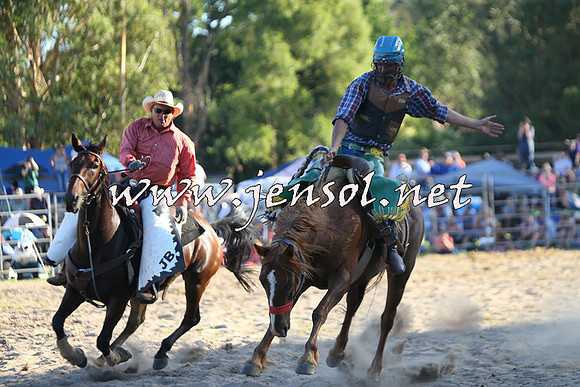 PictonRodeo2015_2203