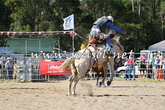 PictonRodeo2015_1566