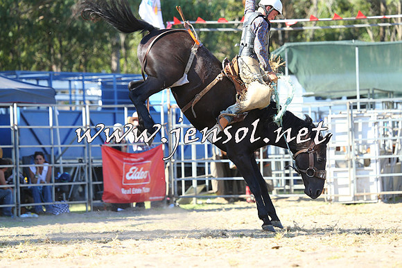 PictonRodeo2015_1900