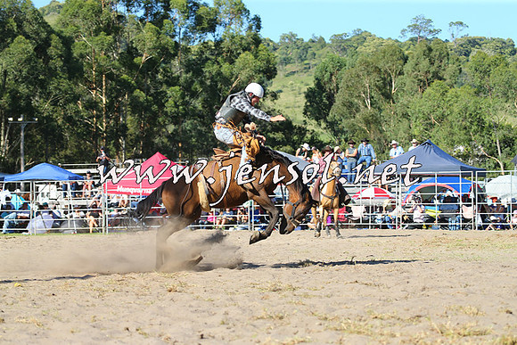 PictonRodeo2015_1817