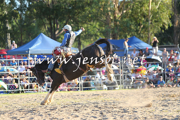 PictonRodeo2015_2257