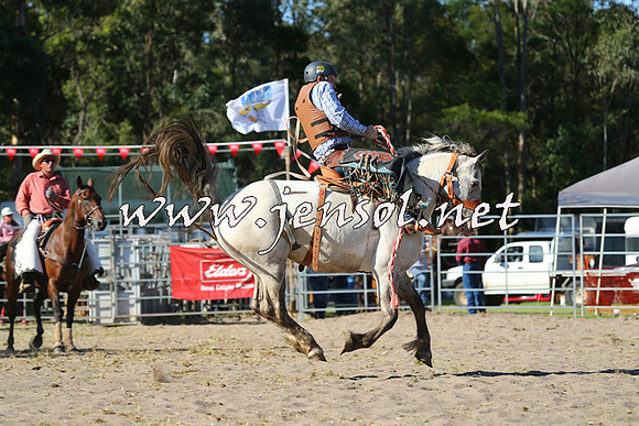 PictonRodeo2015_1822
