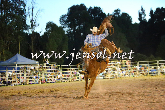 PictonRodeo2015_2991