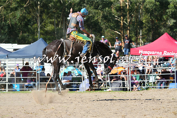 PictonRodeo2015_1606