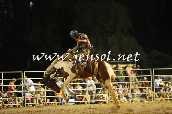 PictonRodeo2015_3024