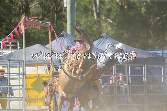 PictonRodeo2015_1682