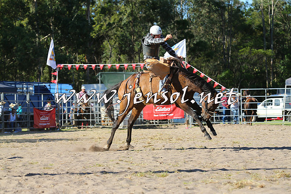PictonRodeo2015_1801
