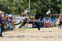 PictonRodeo2015_1596