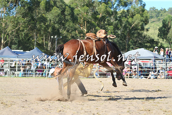 PictonRodeo2015_1844