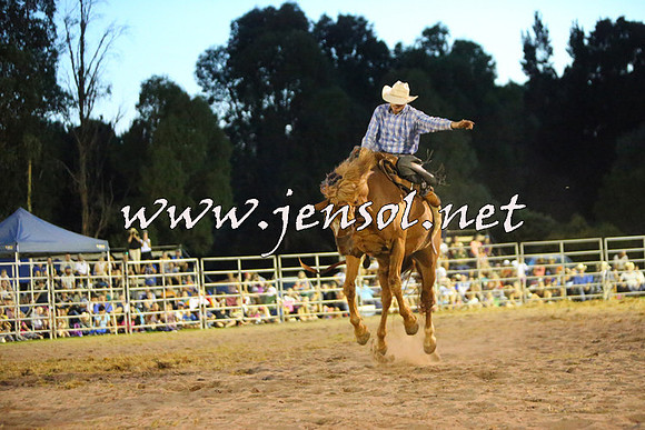 PictonRodeo2015_2988
