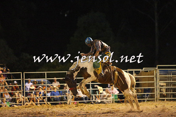 PictonRodeo2015_3014