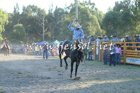PictonRodeo2015_2233