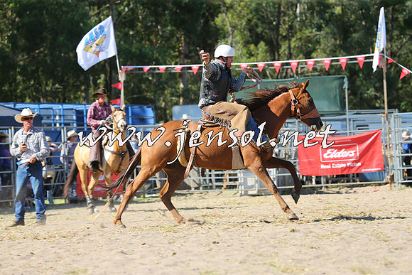 PictonRodeo2015_1631